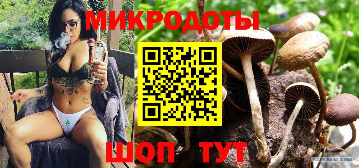 Галлюциногенные грибы прущие грибы  закладки  Куйбышев  Вход с VPN  Псилоцибиновые грибы ЛСД 